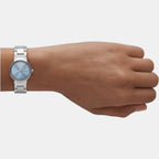 Skagen Stainless Steel Round watch