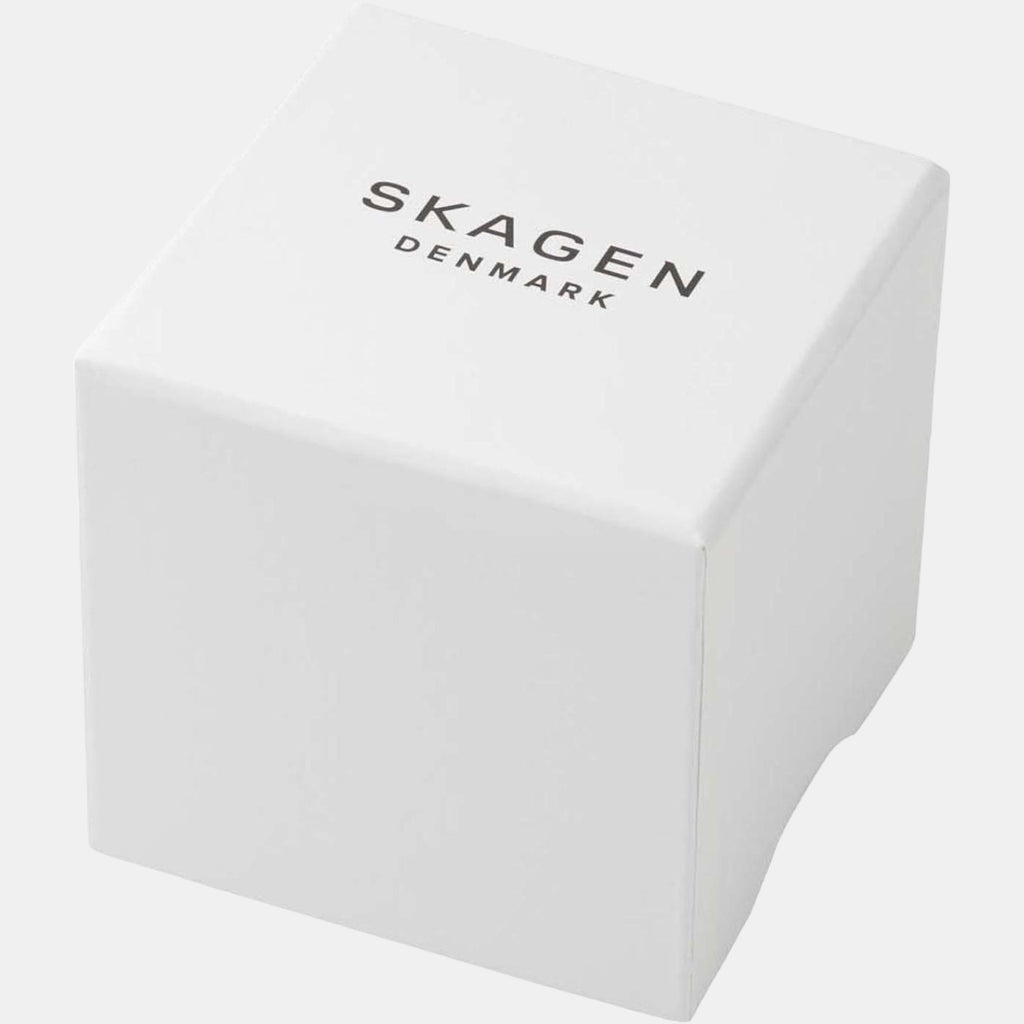 Skagen Stainless Steel Blue watch