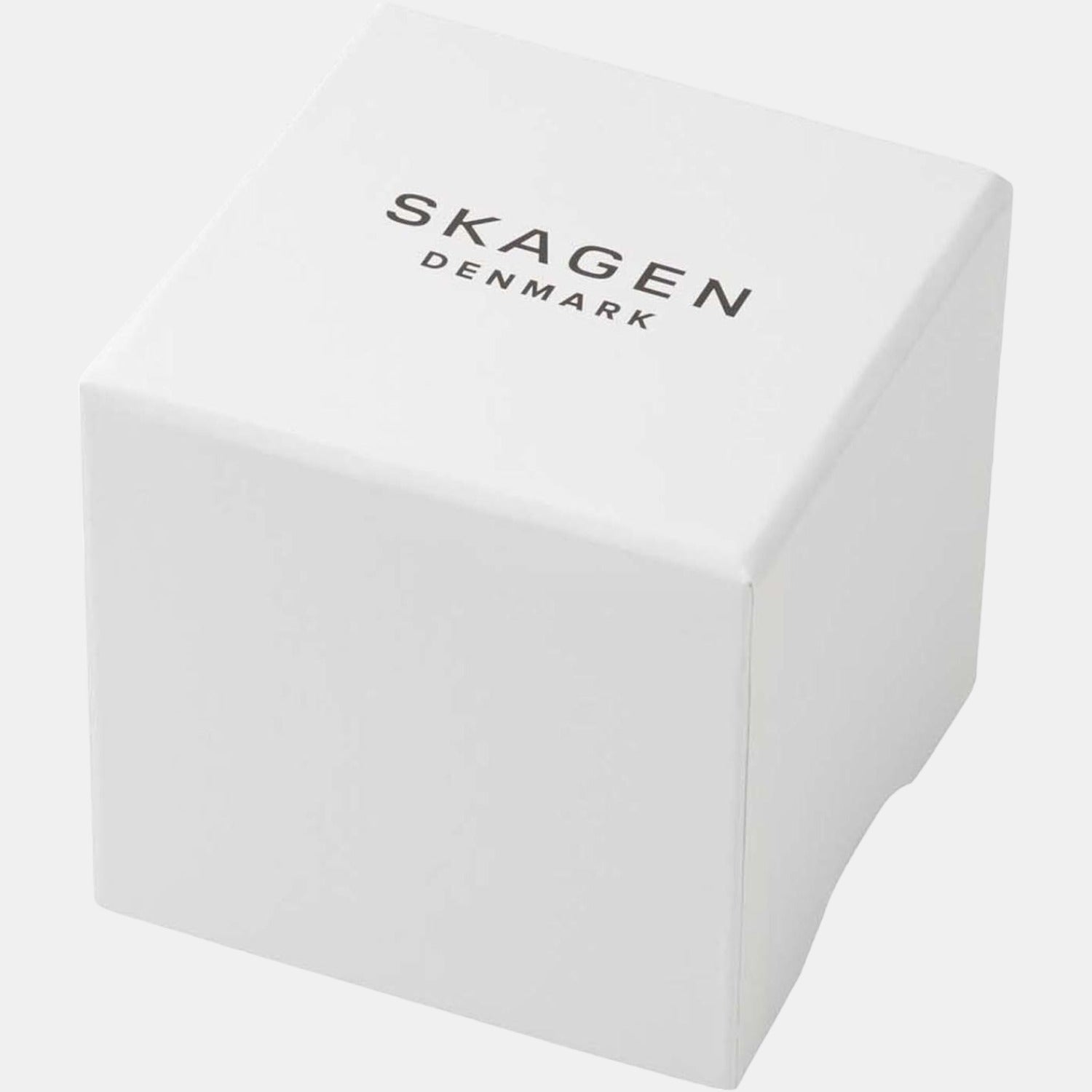 Skagen Stainless Steel Blue watch