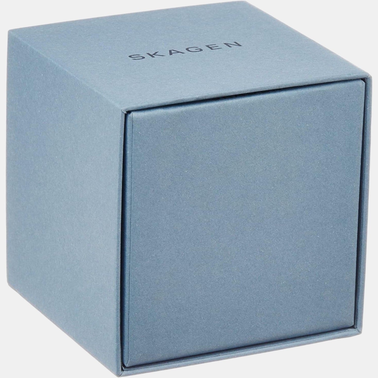 Skagen Stainless Steel Black watch