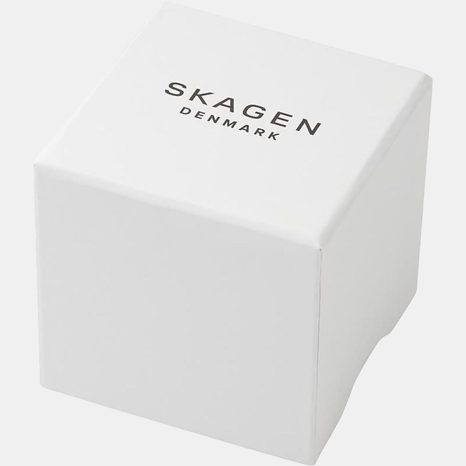 Skagen Stainless Steel Round watch