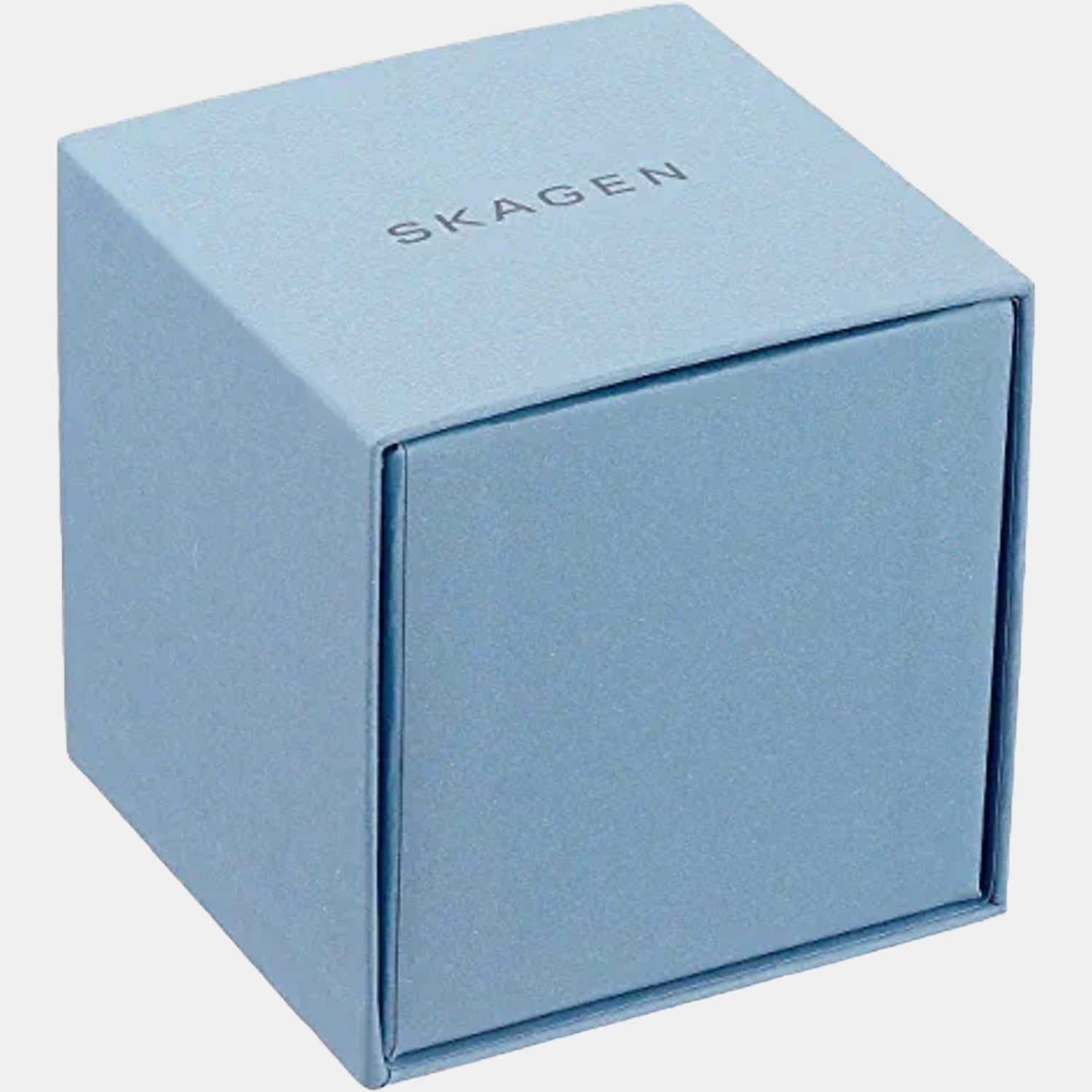 Skagen Stainless Steel Black watch