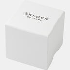 Skagen 41 mm Blue Quartz watch