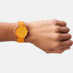 Skagen Stainless Steel Round watch