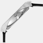 Skagen Stainless Steel Round watch