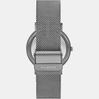 Skagen Men Round Grey watch