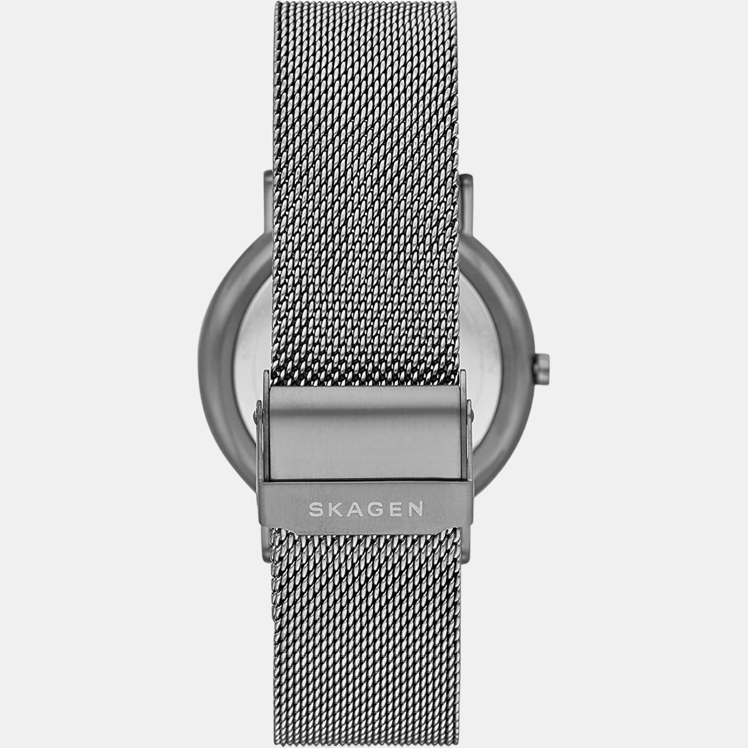 Skagen Men Round Grey watch