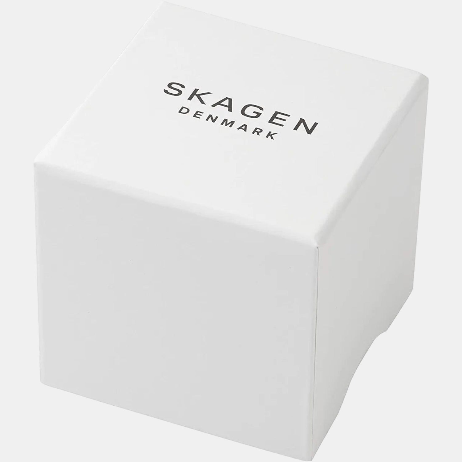 Skagen Stainless Steel Black watch