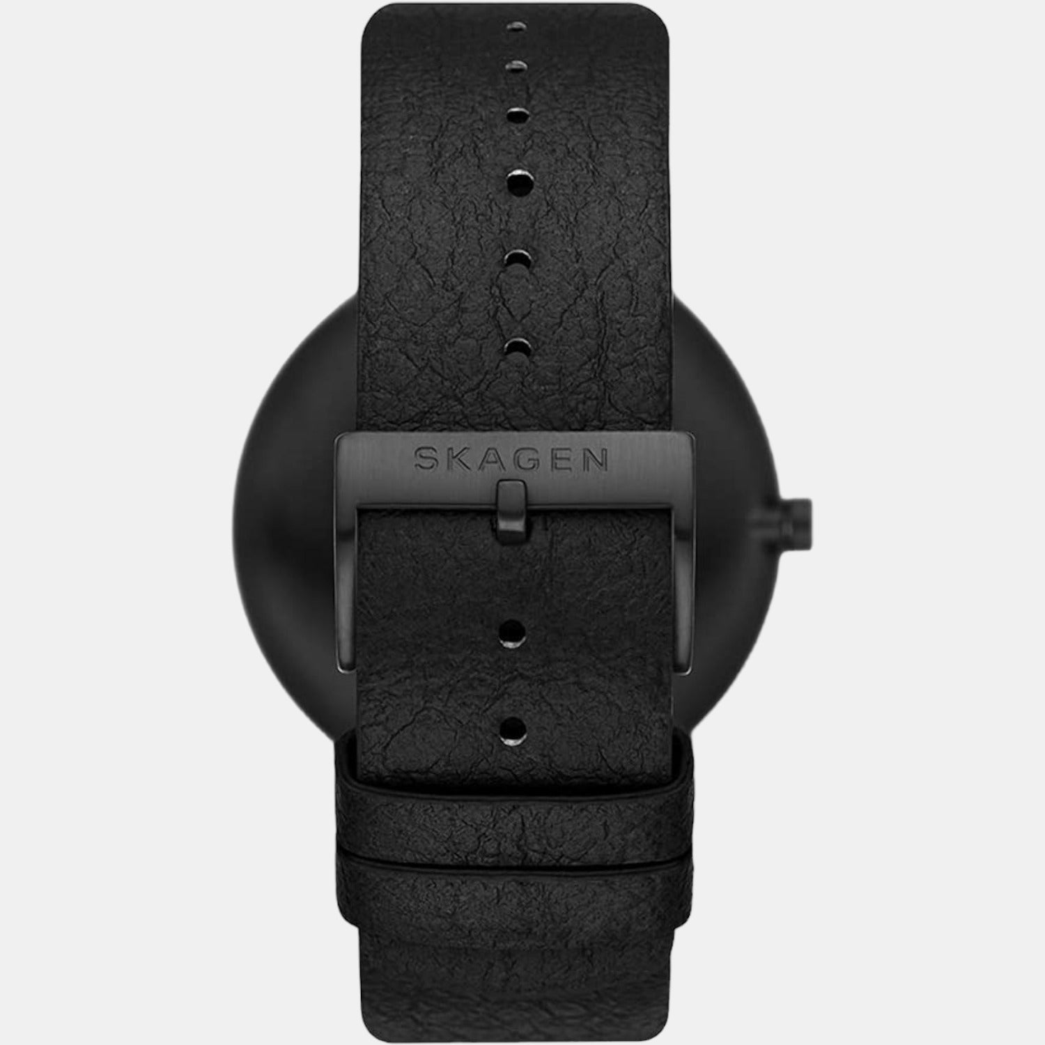 Skagen Men Round Blue watch