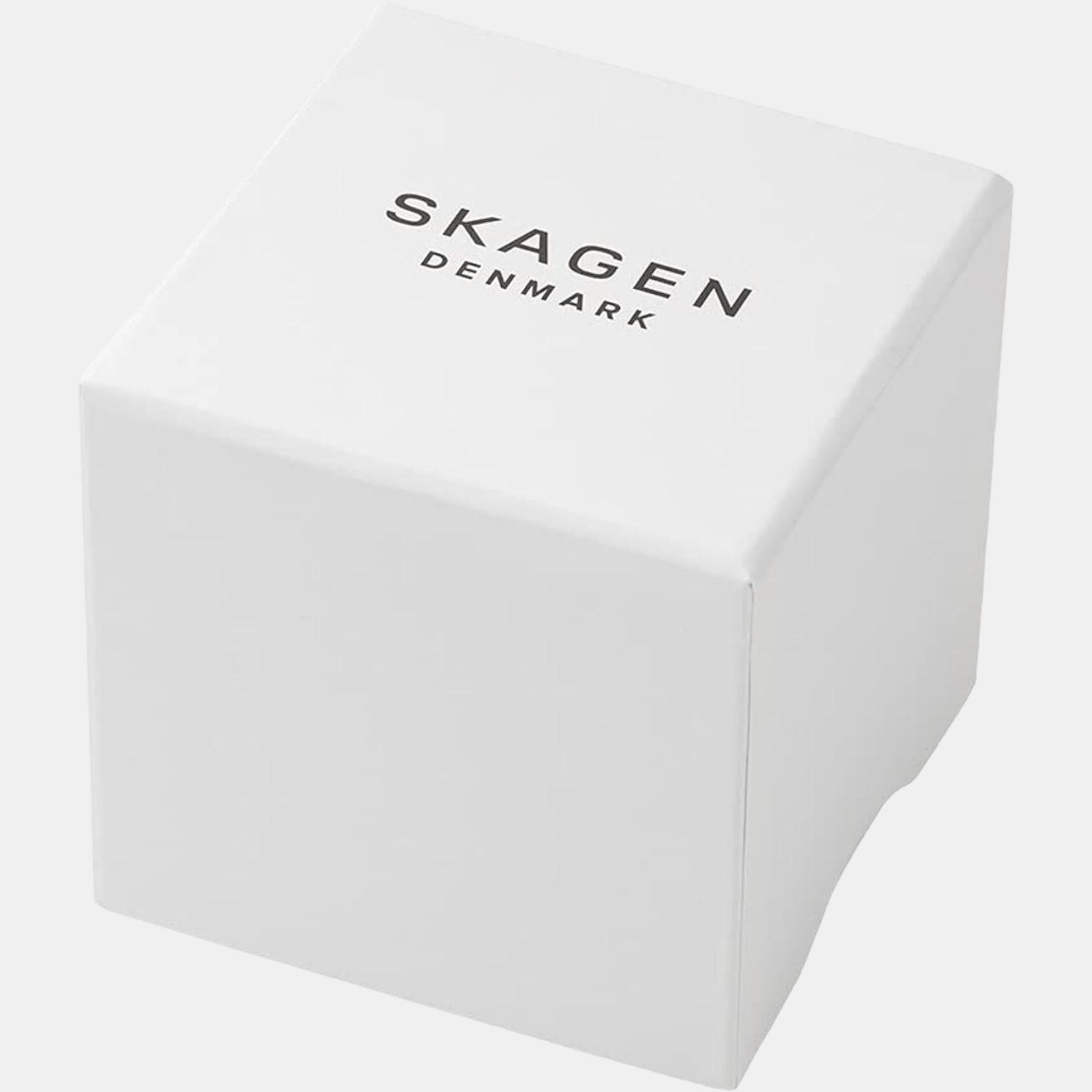 Skagen Stainless Steel Round watch