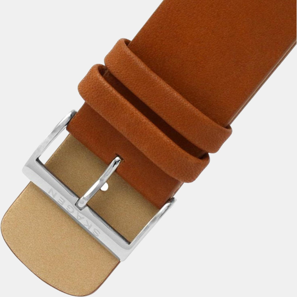 Skagen Men Round Blue watch