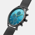 Skagen Men Round Blue watch