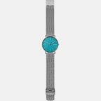 Skagen Stainless Steel Round watch