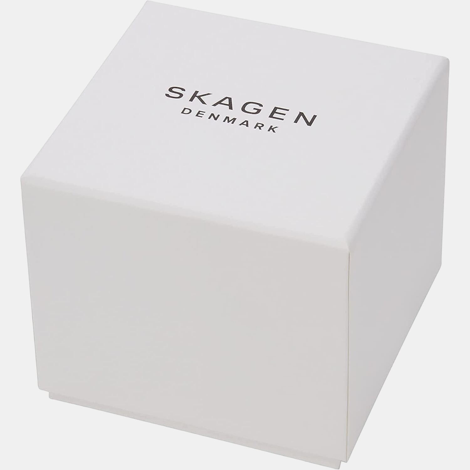 Skagen Plastic Black watch