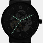 Skagen Stainless Steel Black watch