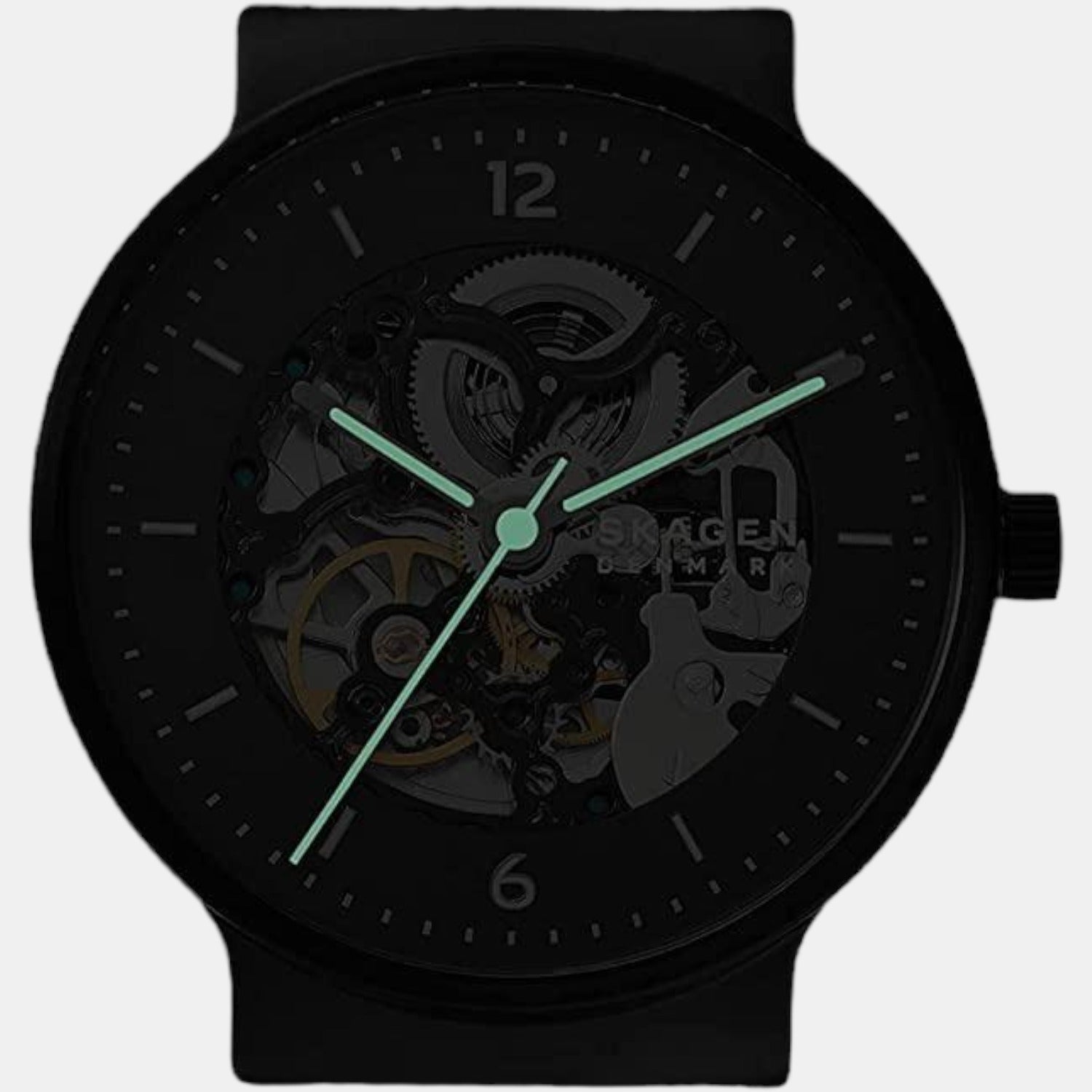 Skagen Stainless Steel Black watch