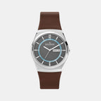 Skagen Round Grey Analog watch