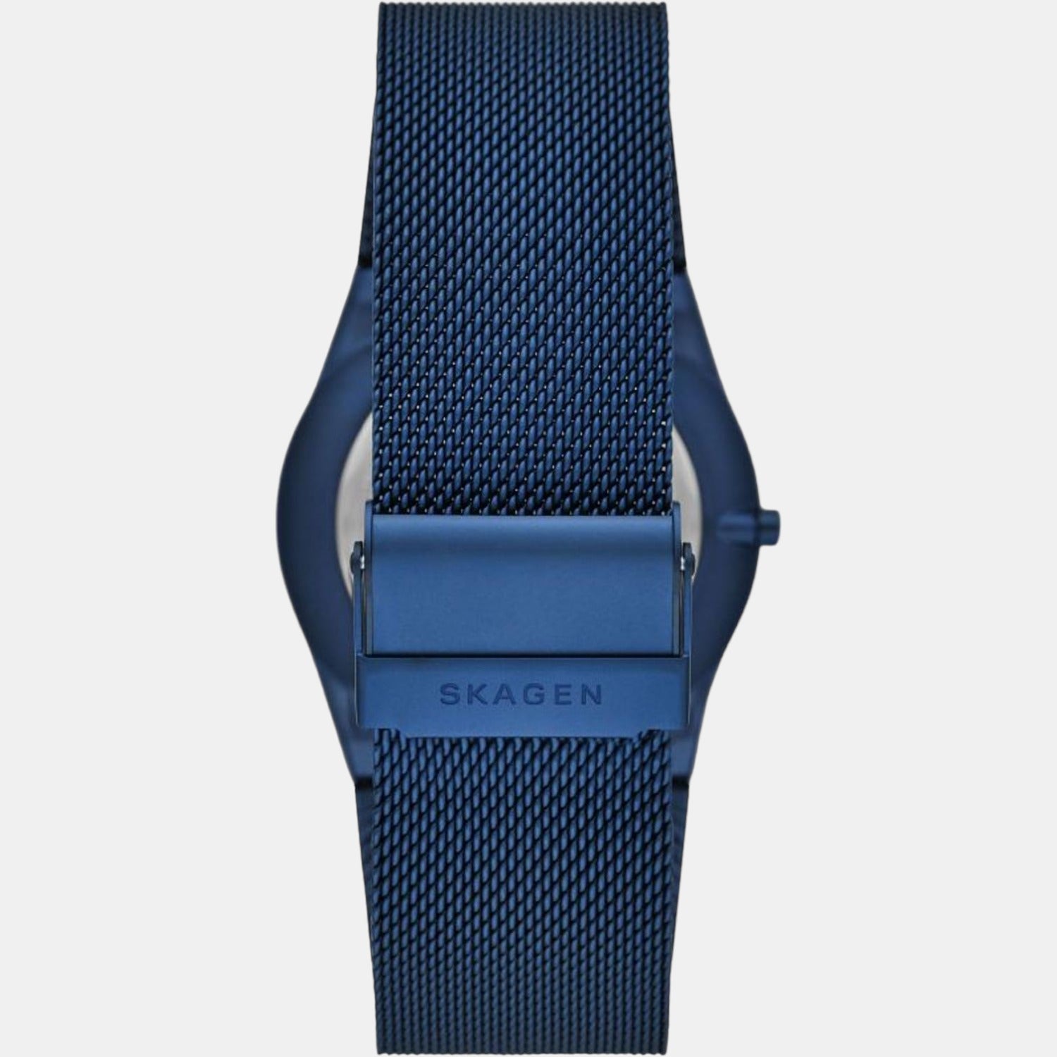 Skagen Men Round Blue watch