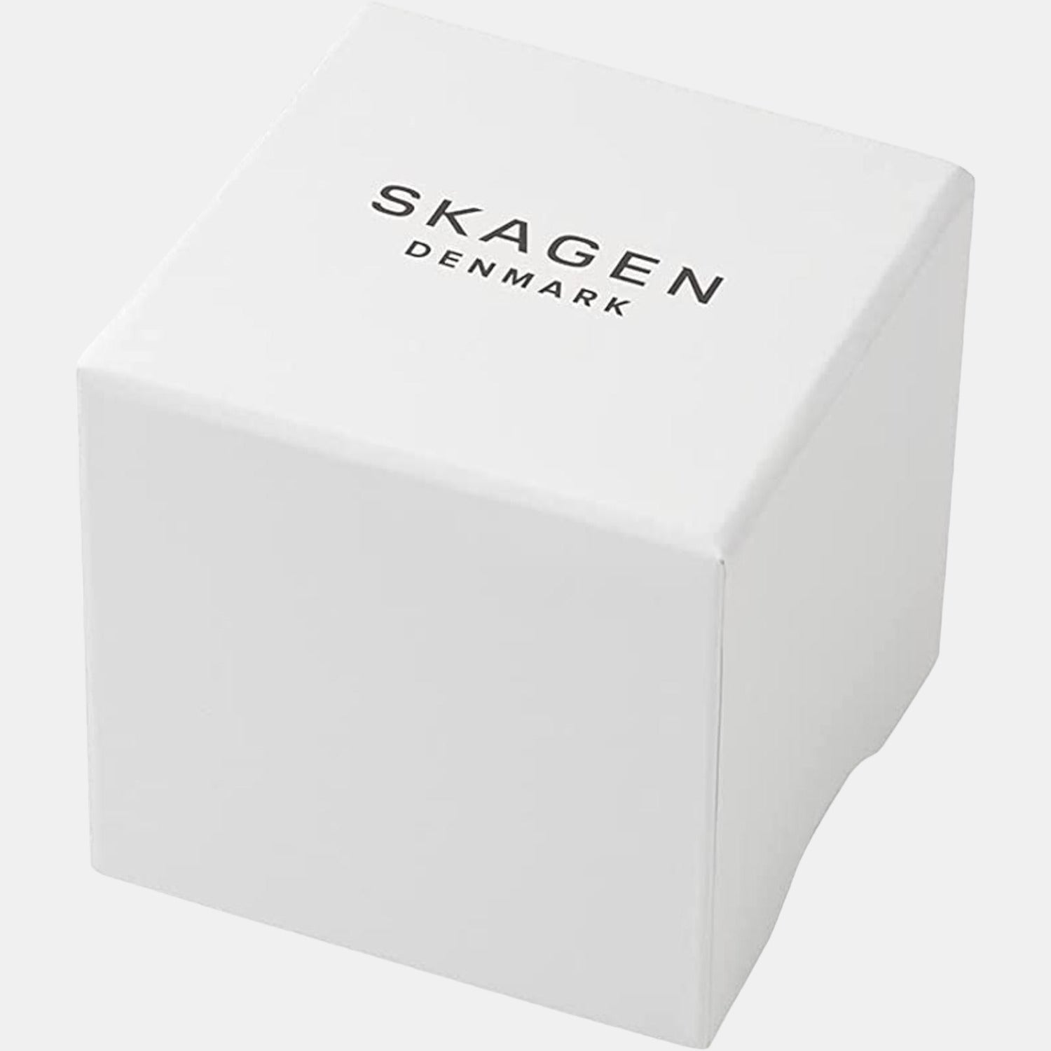 Skagen Stainless Steel Round watch