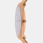 Skagen Stainless Steel Round watch