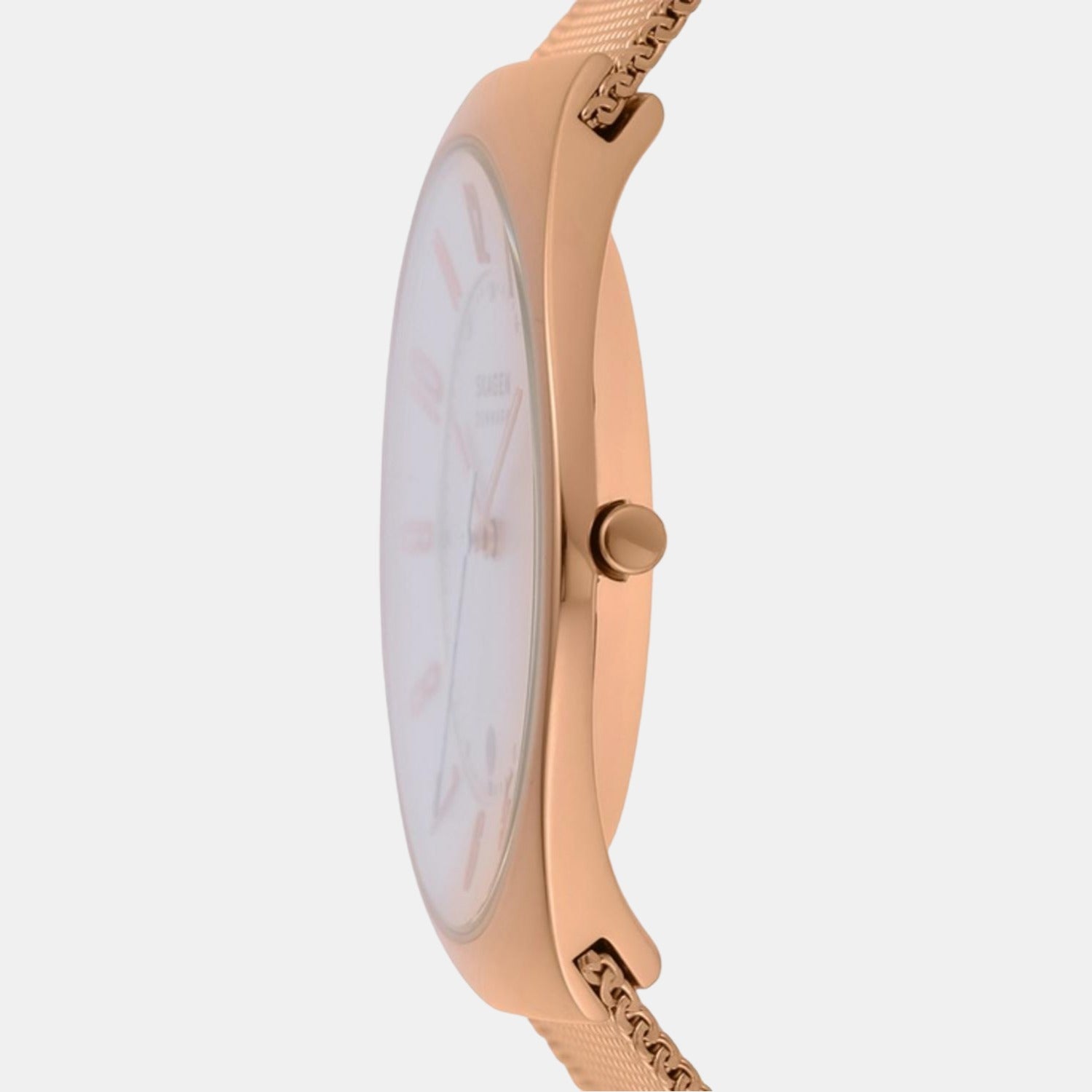 Skagen Stainless Steel Round watch