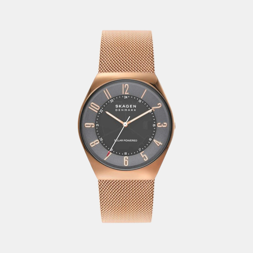 Skagen Round Grey Analog watch