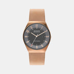 Skagen Round Grey Analog watch
