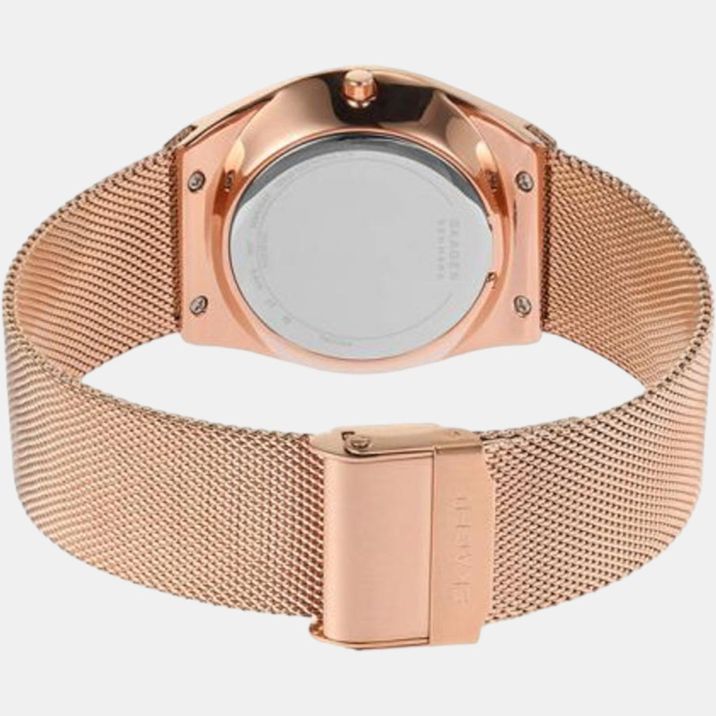 Skagen Men Round Grey watch