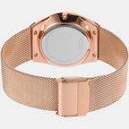 Skagen Men Round Grey watch