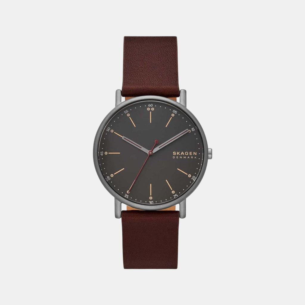 Skagen Round Grey Analog watch
