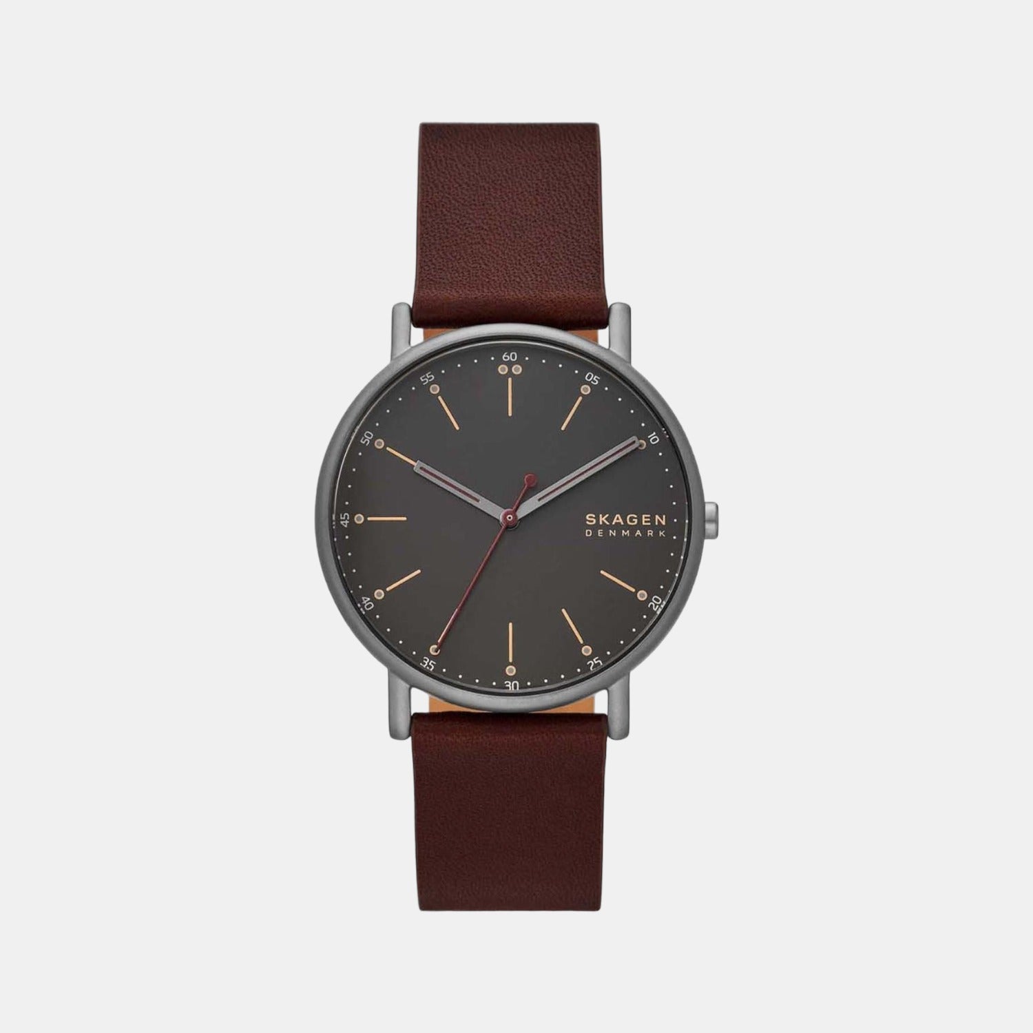 Skagen Round Grey Analog watch