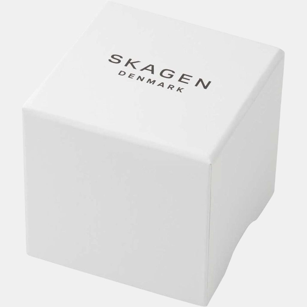 Skagen Leather Grey watch
