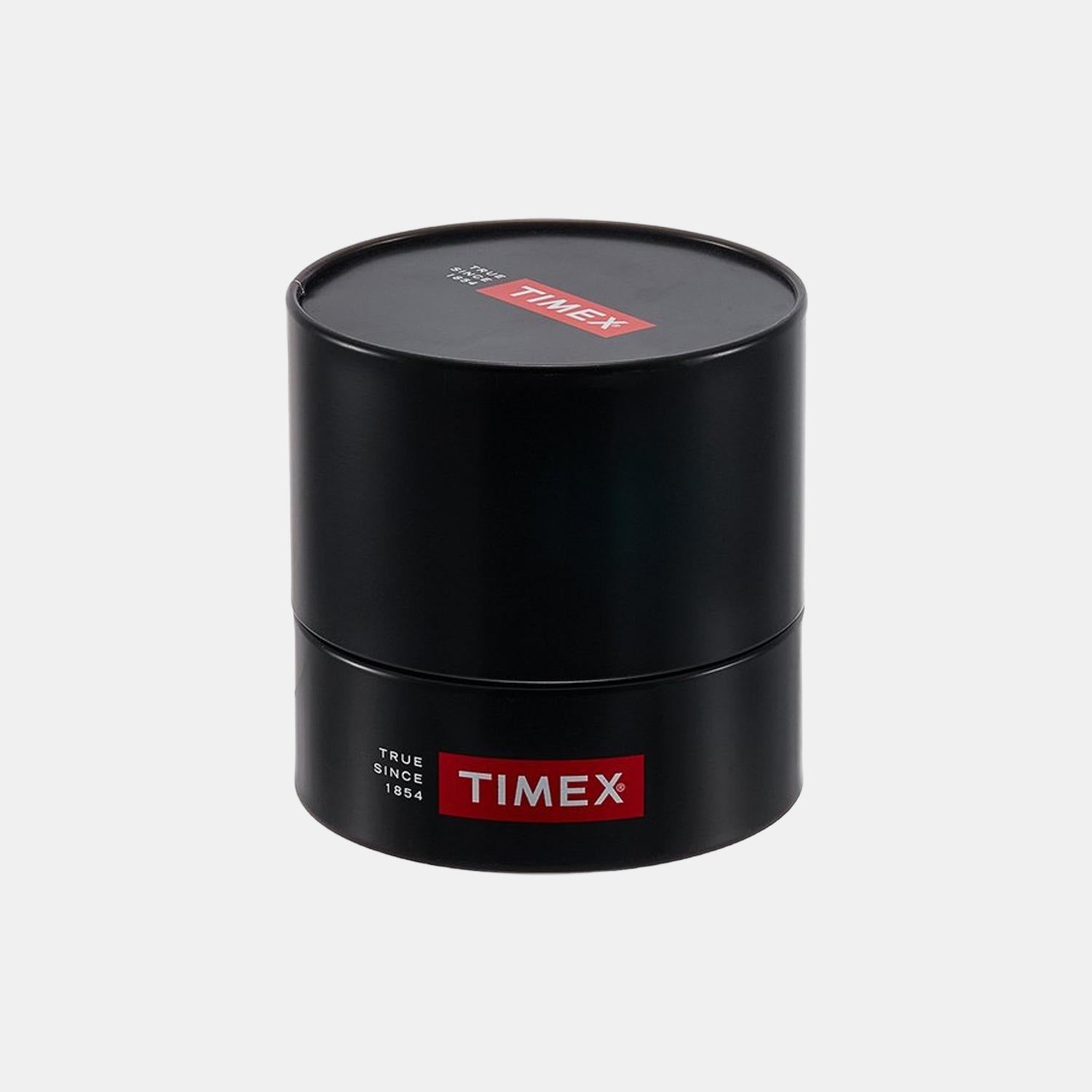 Timex Brass Silver watch