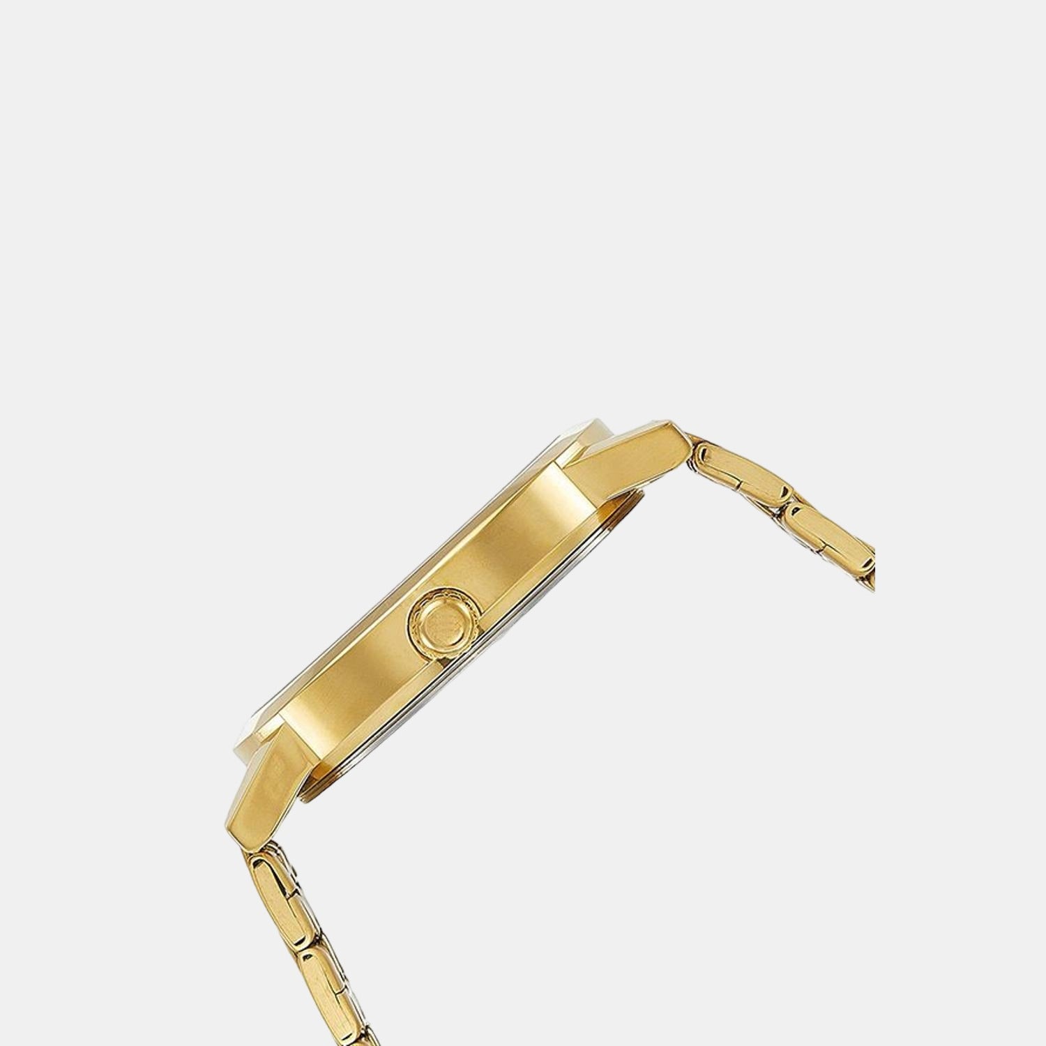 Timex Men Round Gold watch