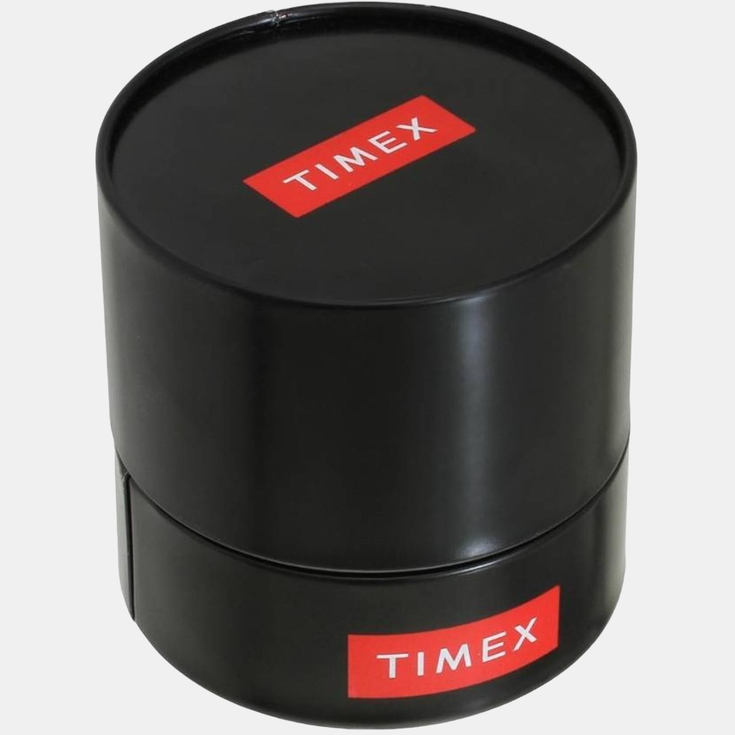 Timex tw000t309 sales