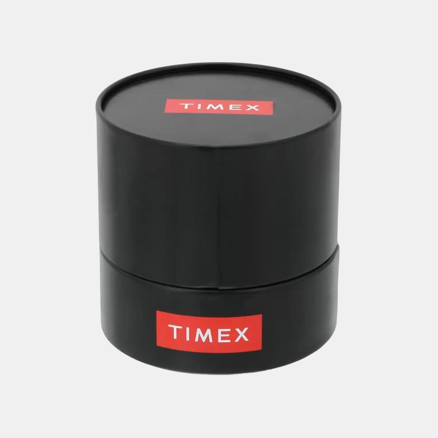 Timex tw000t313 cheap