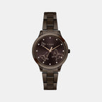 Timex Round Brown Analog watch