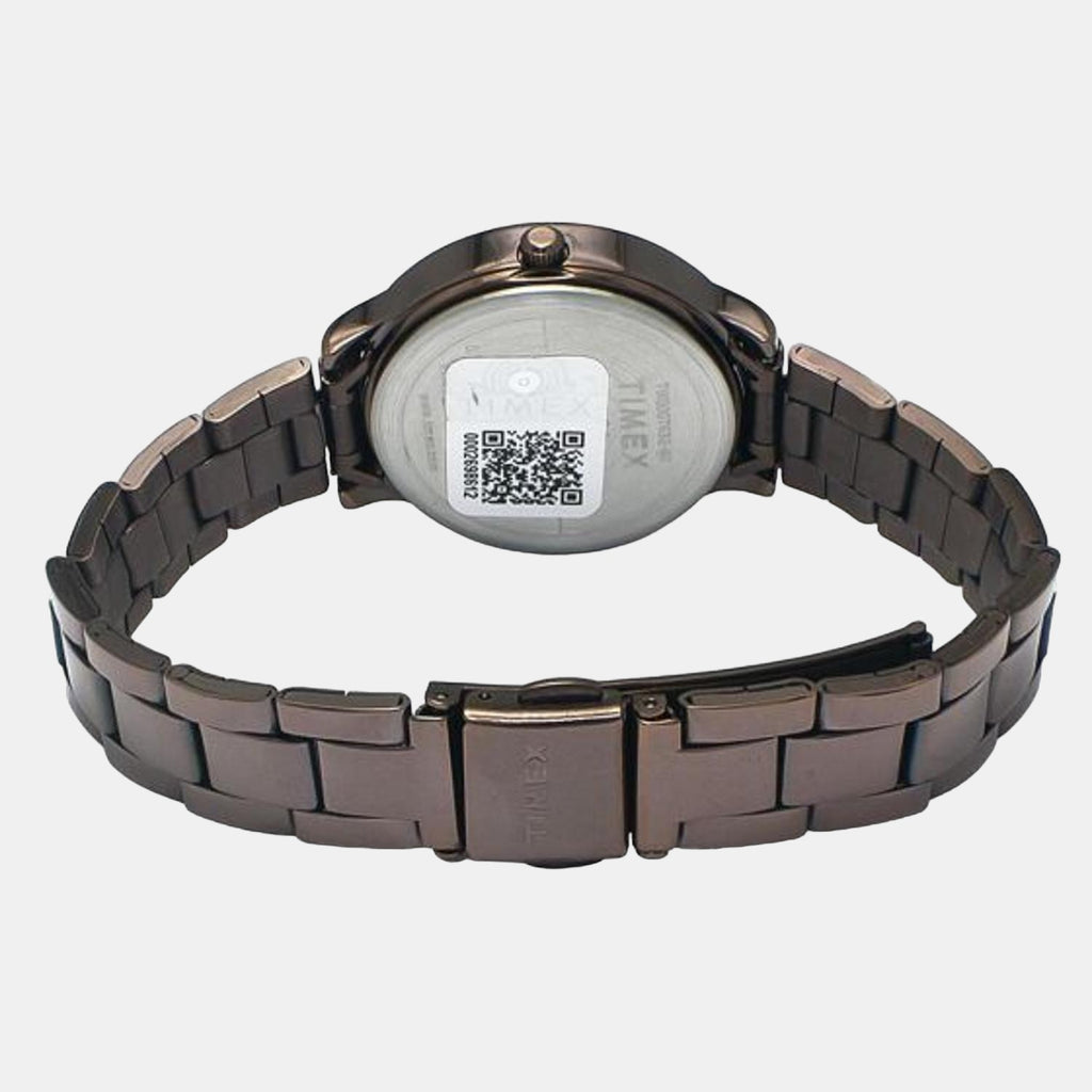 Timex Stainless Steel Brown watch