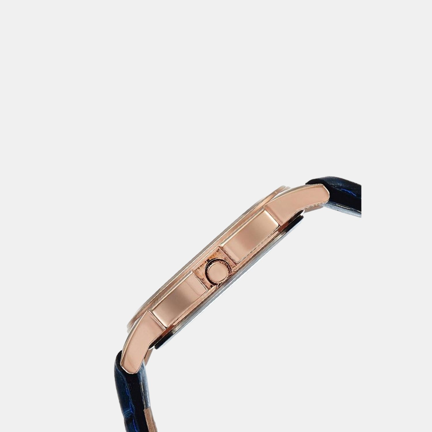 Timex Men Round Blue watch