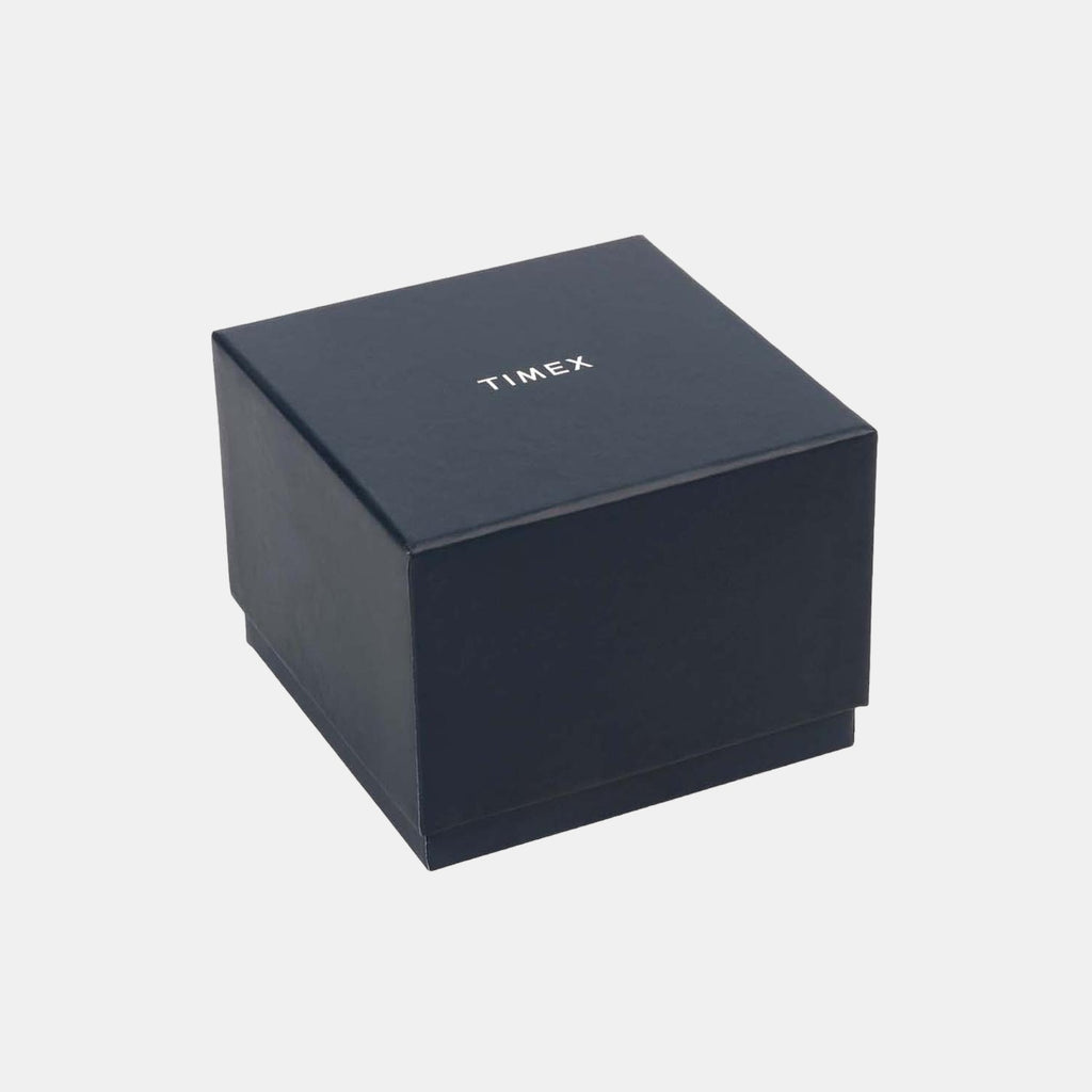 Timex Leather Silver watch