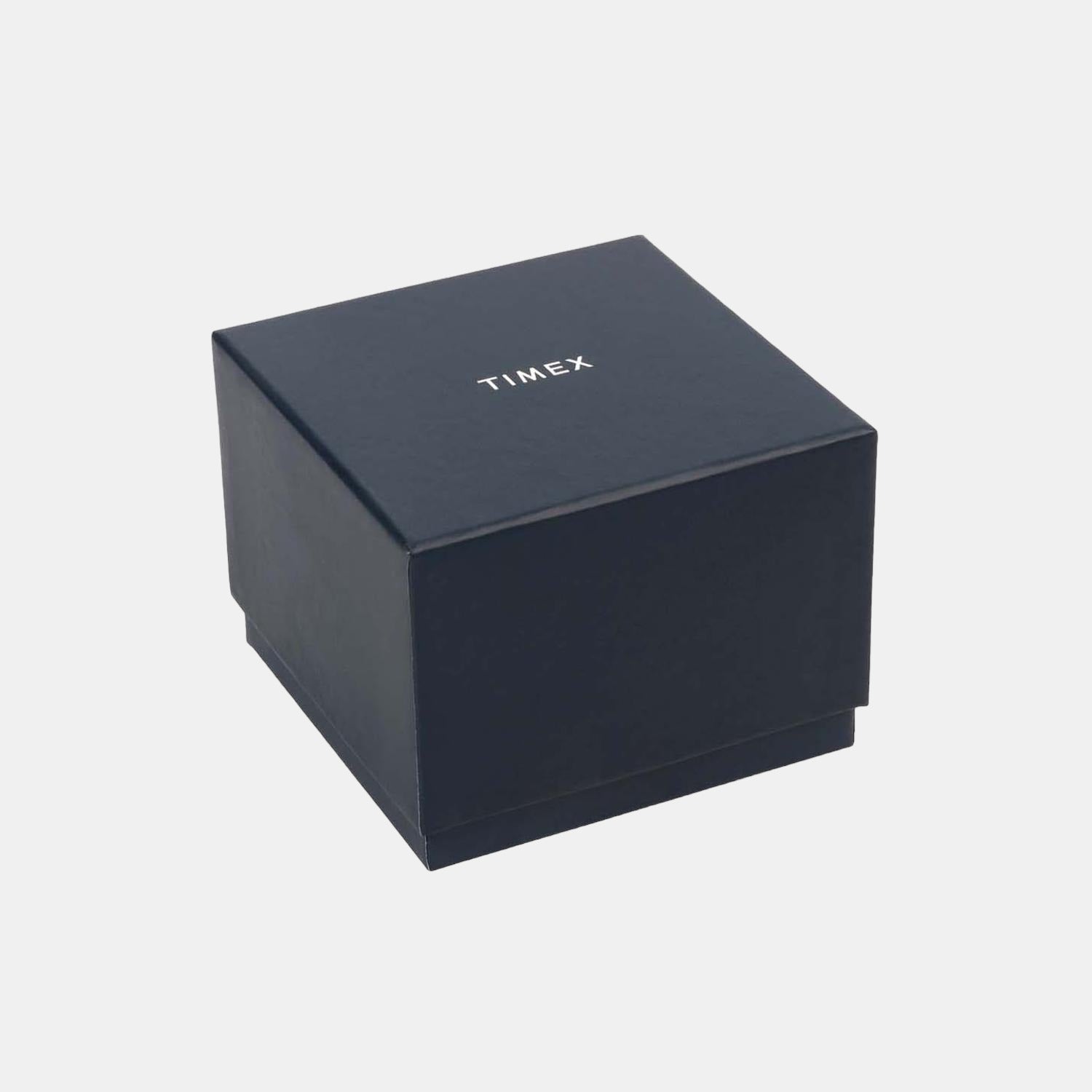 Timex Leather Silver watch