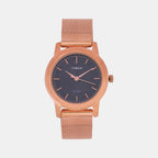 Timex Round Blue Analog watch