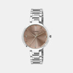 Timex Round Brown Analog watch
