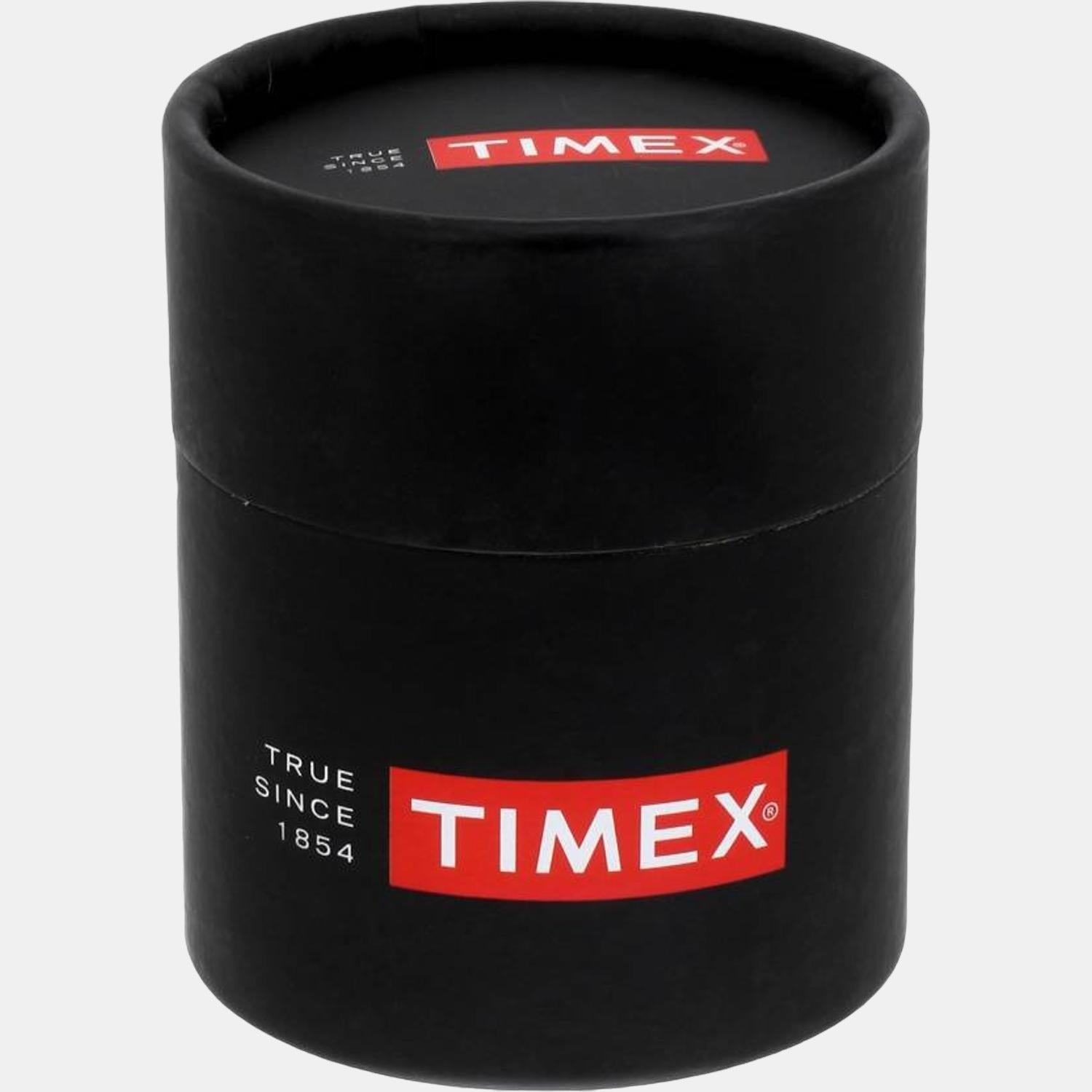 Timex Stainless Steel Brown watch