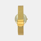 Timex Brass Round watch