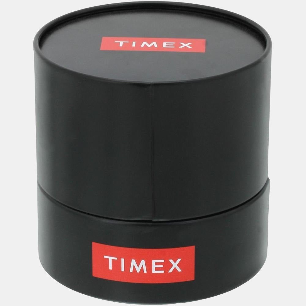 Timex Stainless Steel Beige watch