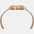 Timex Stainless Steel Blue watch