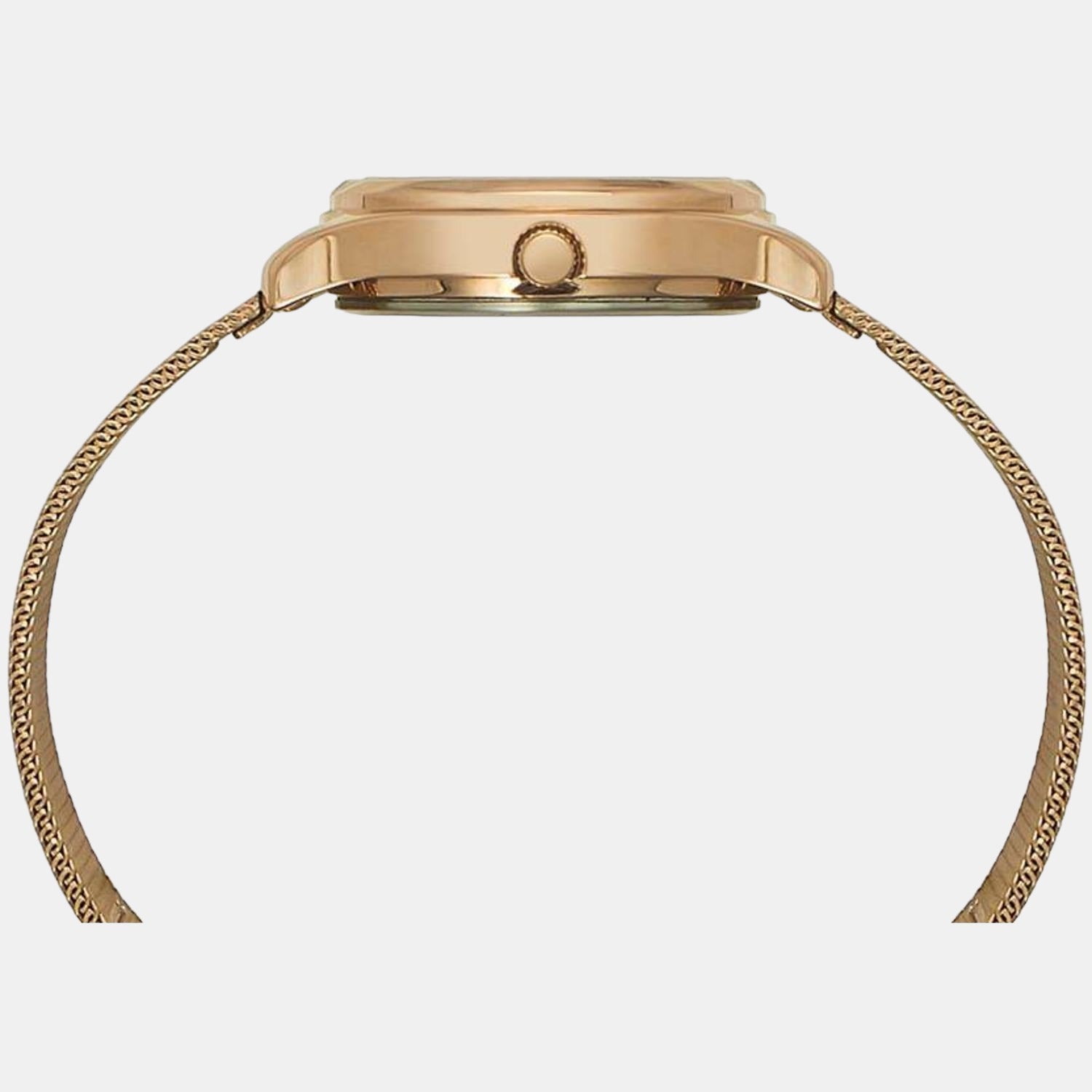 Timex Stainless Steel Blue watch