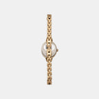 Timex 21 mm Oval Quartz watch