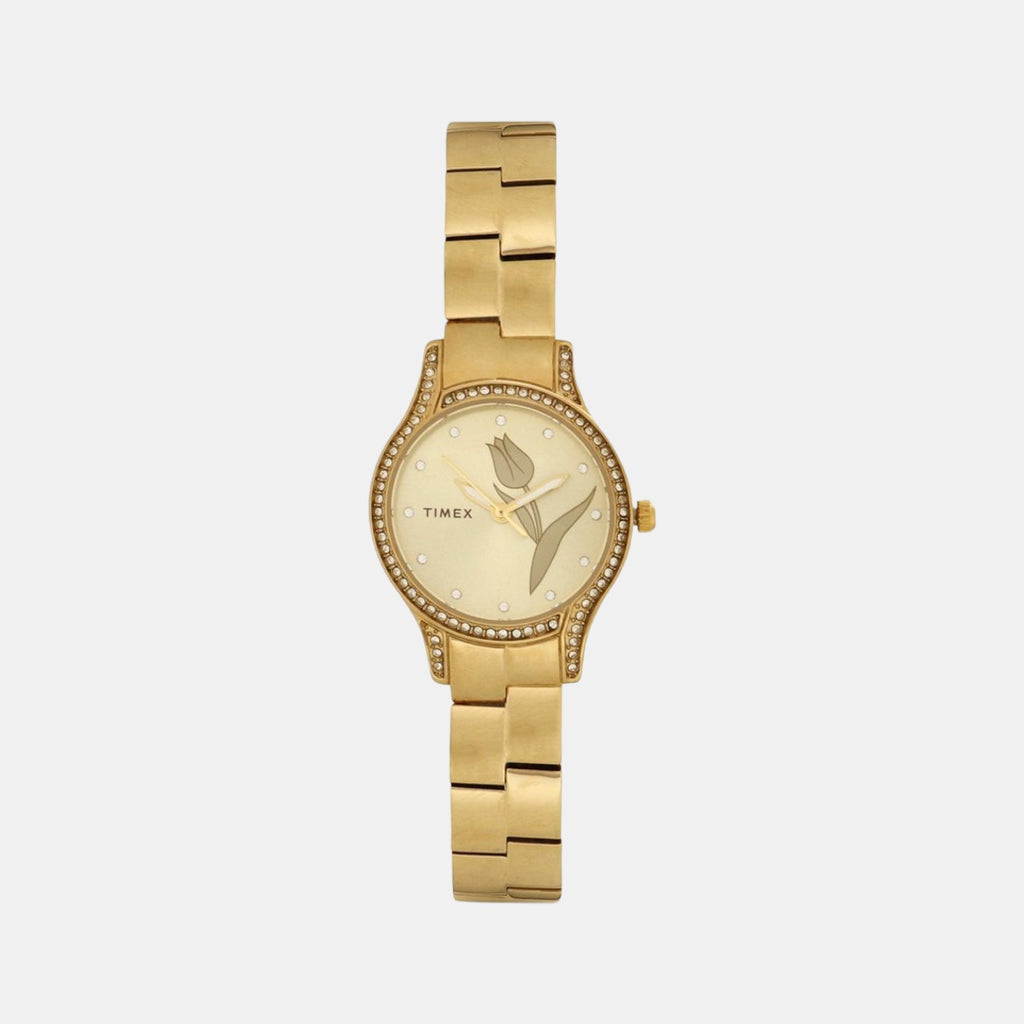 Timex Round Gold Analog watch